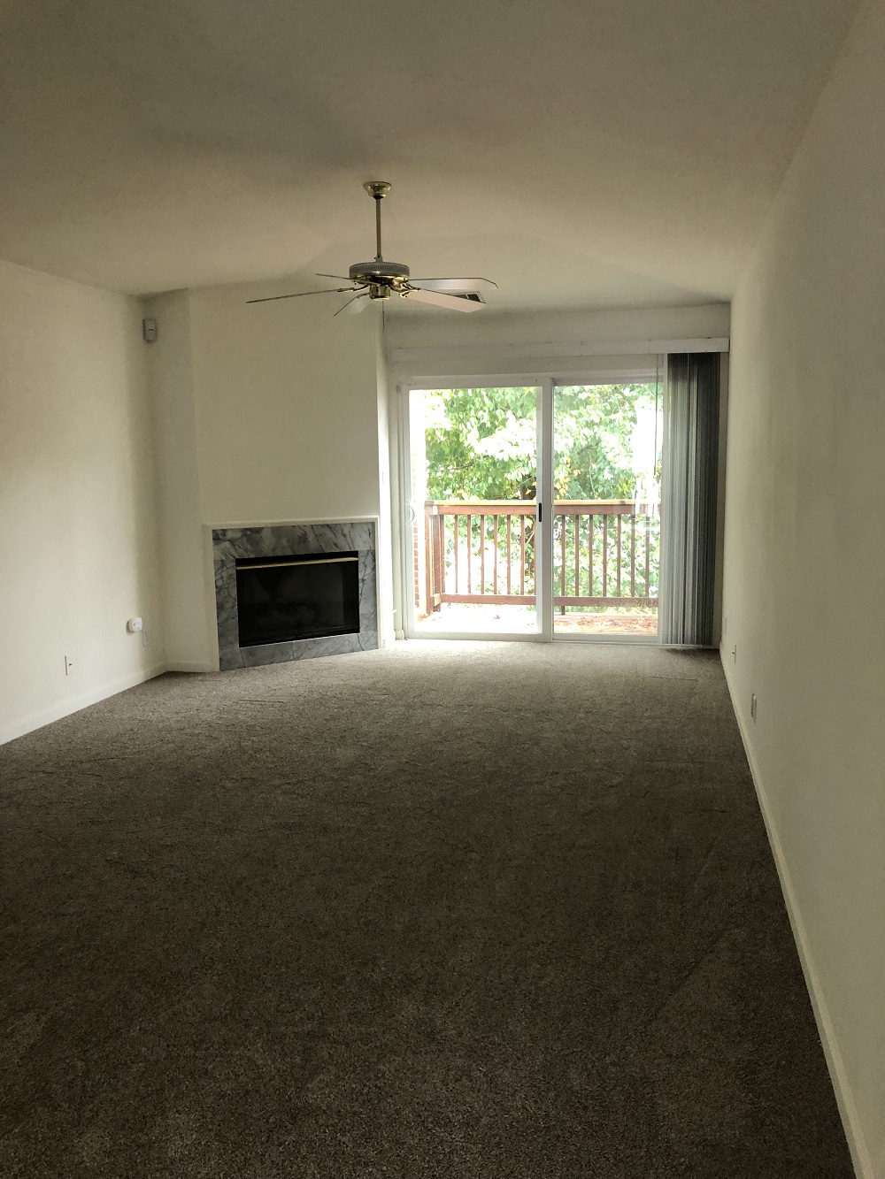Gallery Photo 1